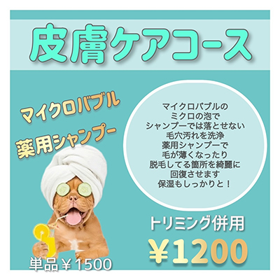 皮膚ケアコース マイクロバブル 薬用シャンプー 単品￥1,500 トリミング併用￥1,200