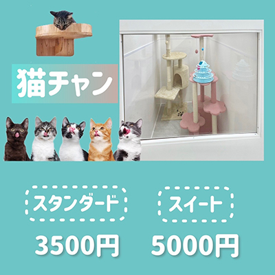 ペットホテル 猫ちゃん スタンダード￥3,000 スイート￥5,000